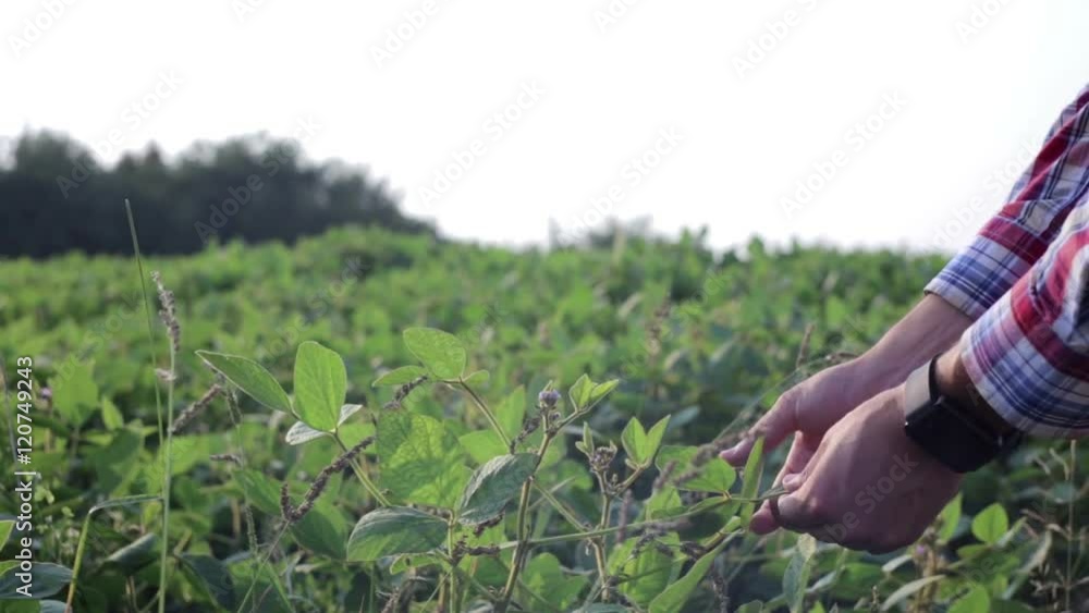 Young farmer is working in the field Young farmer is working in the field