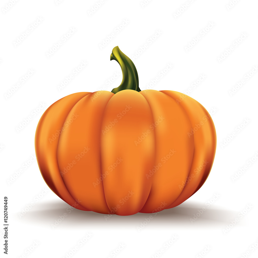 Obraz premium Pumpkin isolated on white.Realistic pumpkin vector illustration.