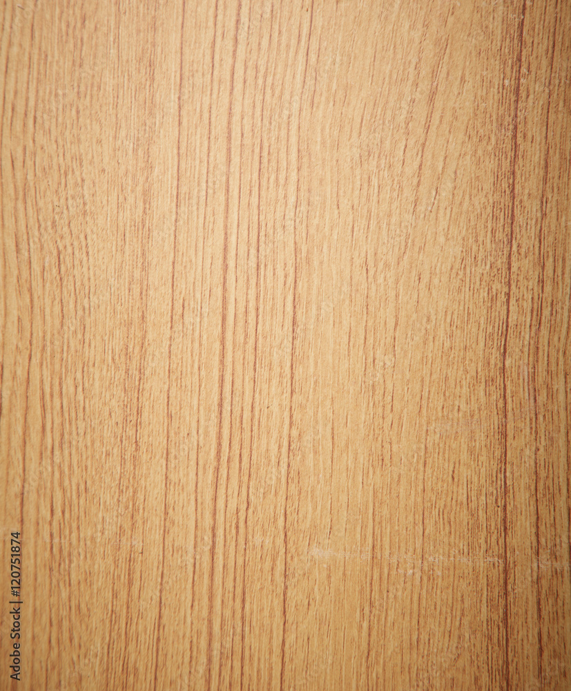 Beech wood texture Beech wood texture