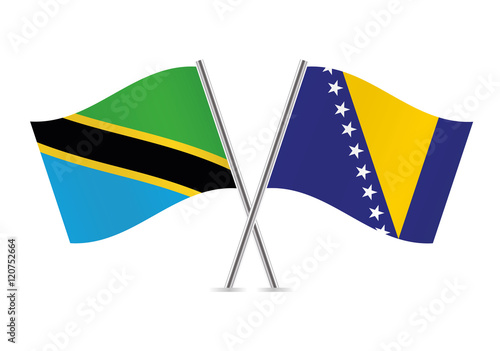 Tanzania and Bosnia and Herzegovina flags. Vector illustration.