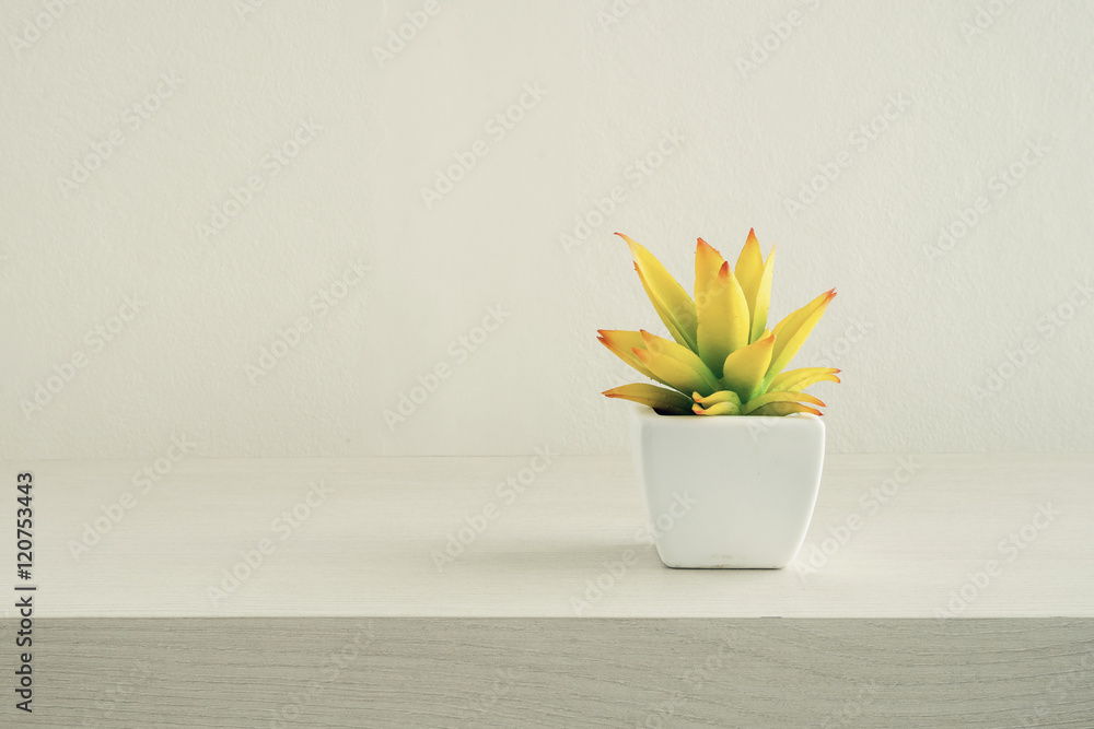 Tree pots decoration on wooden table, Film simulation Tree pots decoration on wooden table, Film simulation