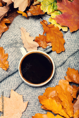 ..Abstract background with autumn leaves and hot coffee cup. Ye
