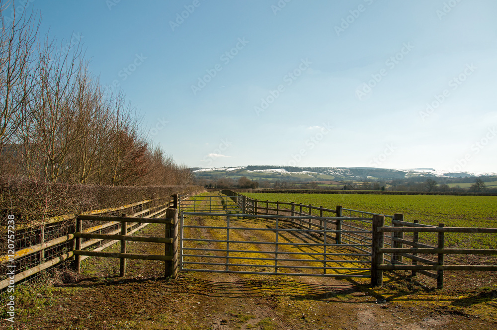 Fototapeta premium Farm gate.