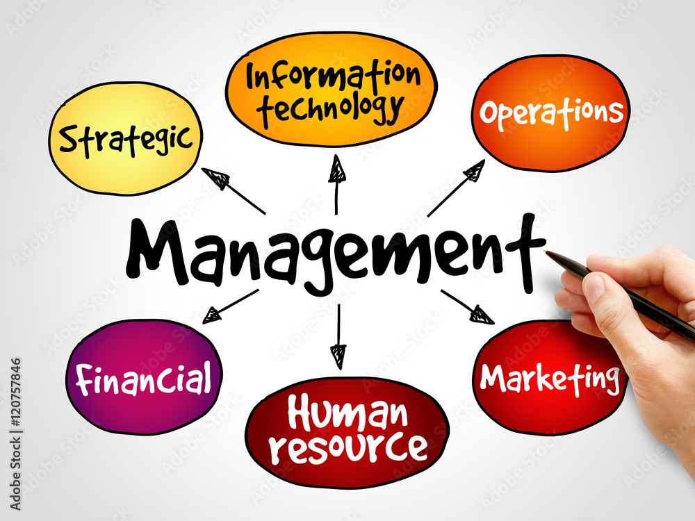 Management mind map business strategy concept Management mind map business strategy concept