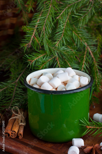Cocoa with marshmallows in a green vintage mug on  background of  trees