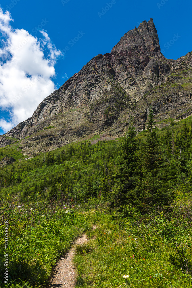 Going to the Sun Road view