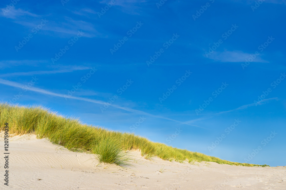 Düne am Ostsee Strand mit blauem Himmel