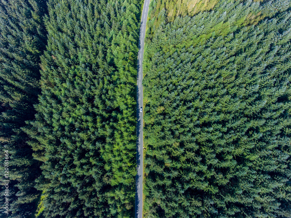 Road going through forest landscape, view from the above Road going through forest landscape, view from the above