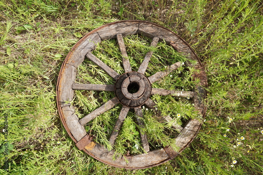 wooden wheel on a background of green grass wooden wheel on a background of green grass