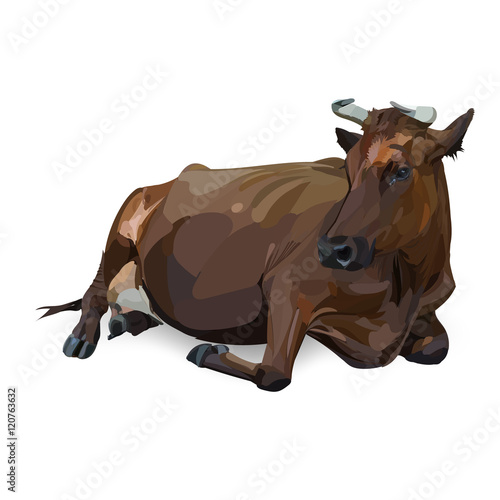 cow lying, vector