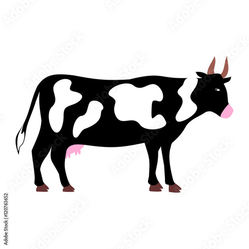 the cow gives milk