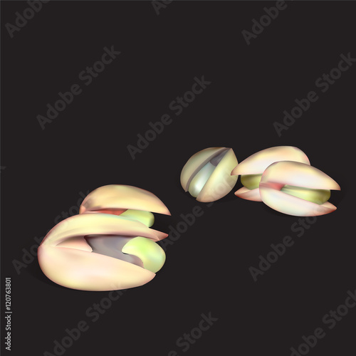 pistachio nut vector