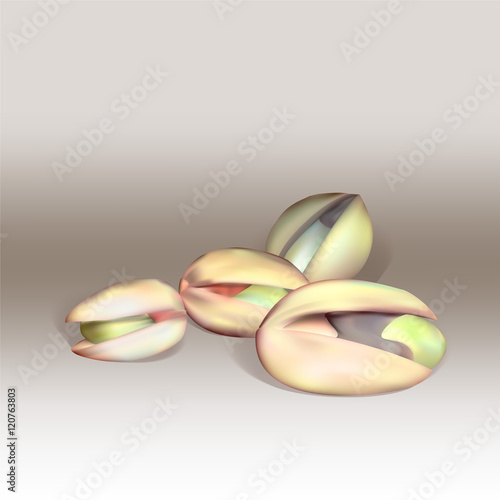 pistachio nut vector