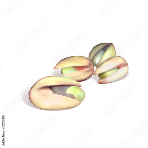 pistachio nut vector