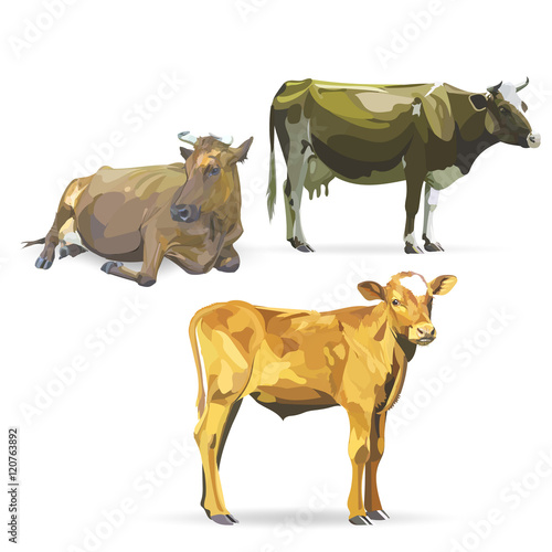 cow lying, vector