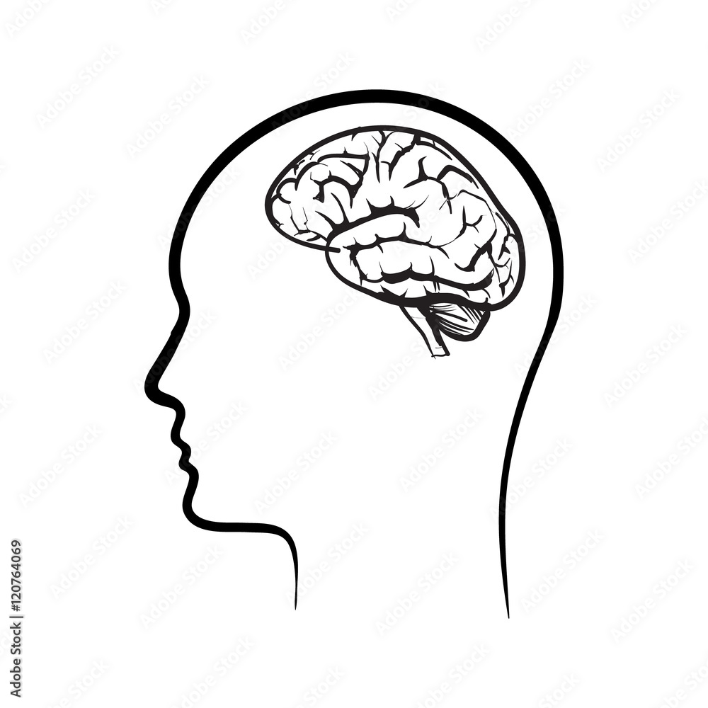 vector icon brain vector icon brain