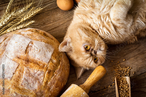 Ginger cat laying on table with bread, grains, eggs and wheat ears
