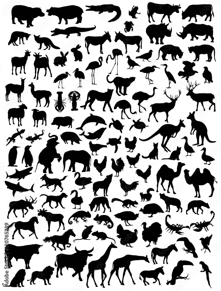 Obraz premium Various types of animal silhouettes, art vector design