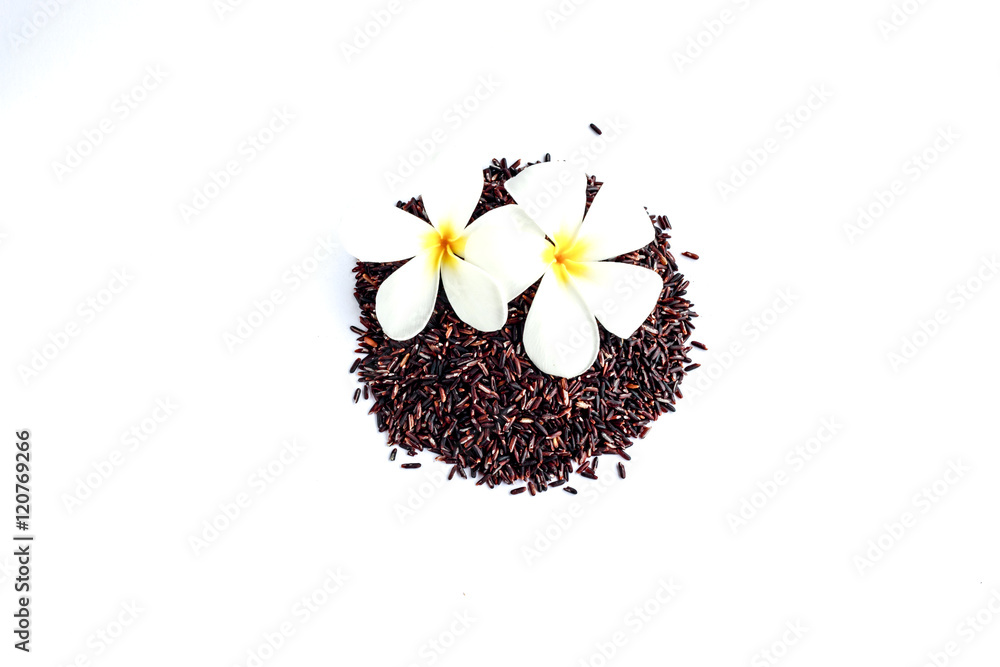 rice berry organic rice on white background, brown rice Thailand