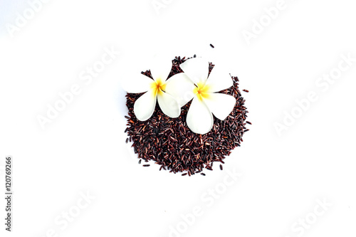 Obraz na płótnie rice berry organic rice on white background, brown rice Thailand w salonie