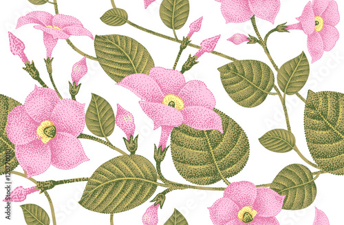 Seamless floral pattern.