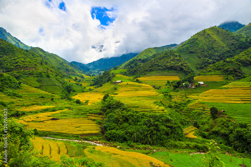 Fototapeta premium Beautiful terraced rice fields in Vietnam