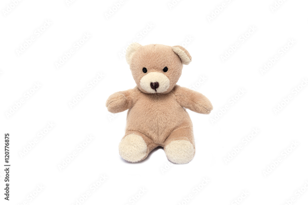Obraz premium isolated teddy bear on white background