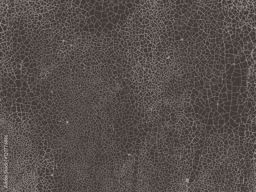 Grunge white and black background, texture.