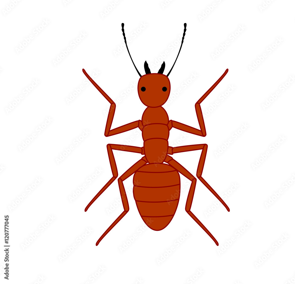 Red Ant Red Ant
