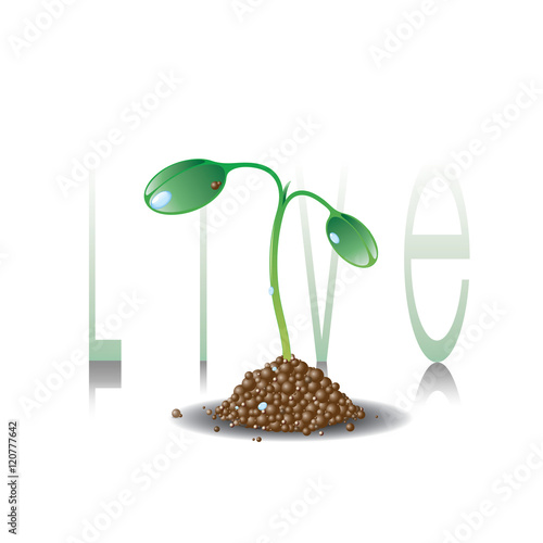 Green plant with growth slogan.Save green idea.Young sprout logo. Agriculture, ecology, new life and spring concept. Spring seedling illustration. 