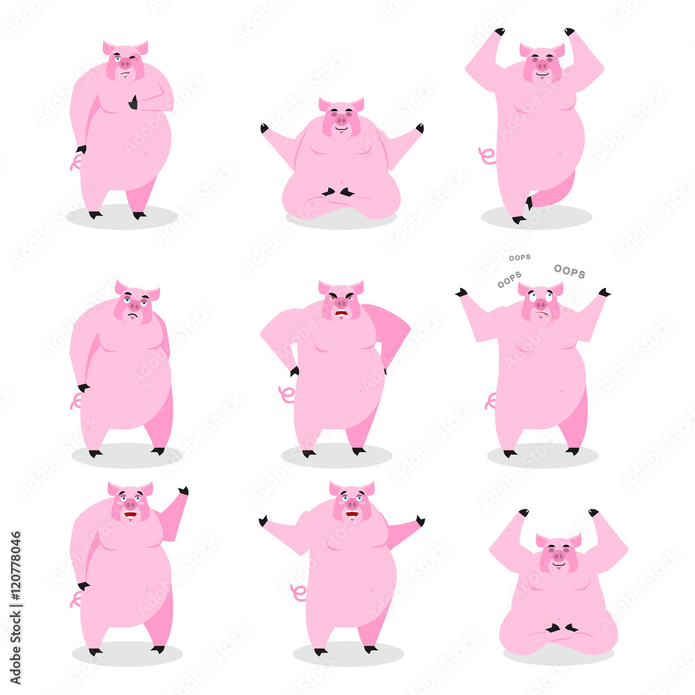 Pig set of different poses. Expression of wild boar emotions. Fa