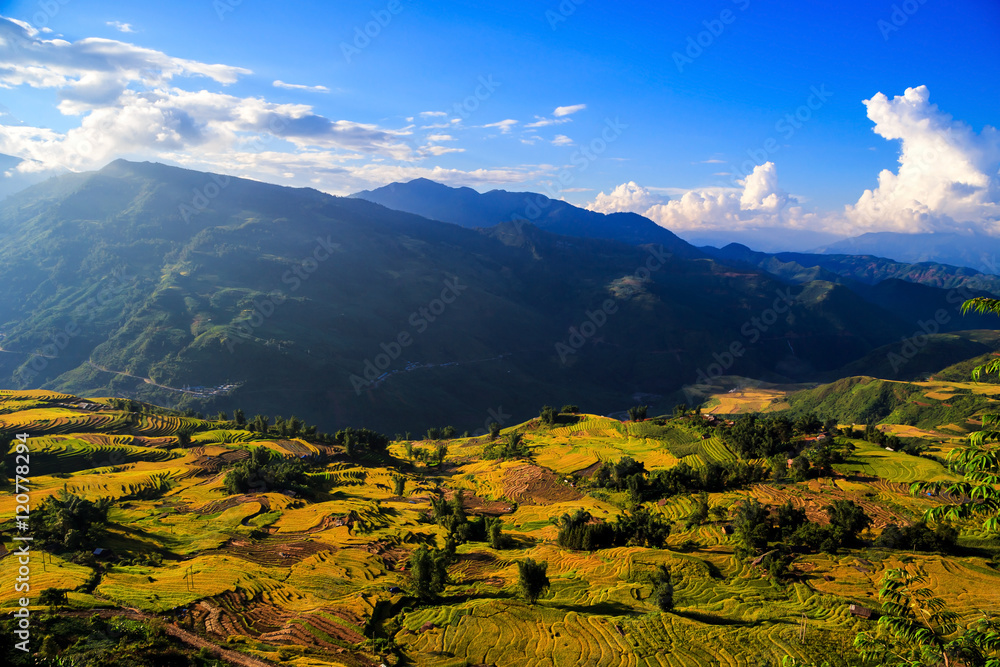 Beautiful terraced rice fields in Vietnam