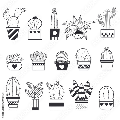 Vector illustration of succulents and cactus in the pots.