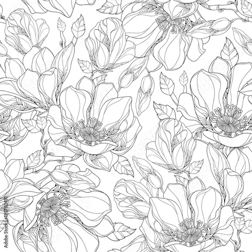 Vector seamless pattern with outline magnolia flower, ornate buds and leaves on the white background. Elegance floral background in contour style for summer design and coloring book.
