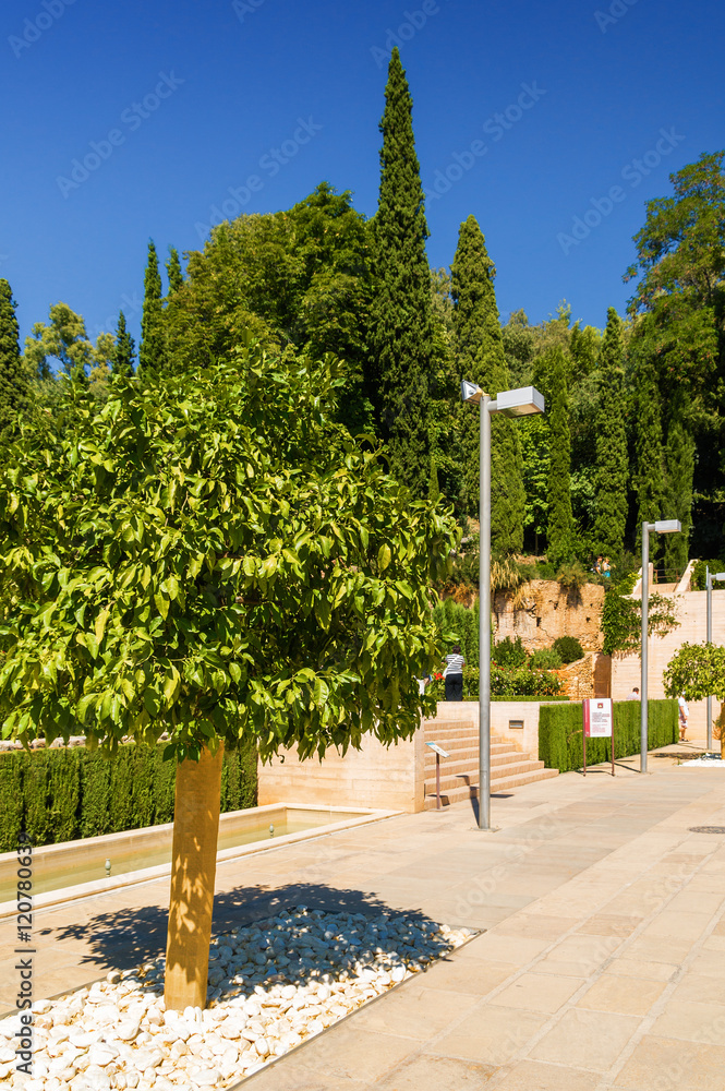 A tree and a range of lanterns in garden of Generalife, Granada, Andalusia province, Spain.