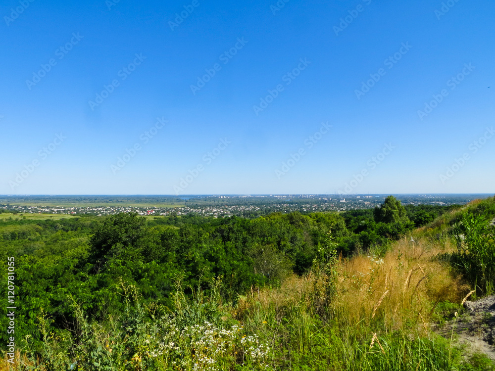 Obraz premium Summer landscape with green trees
