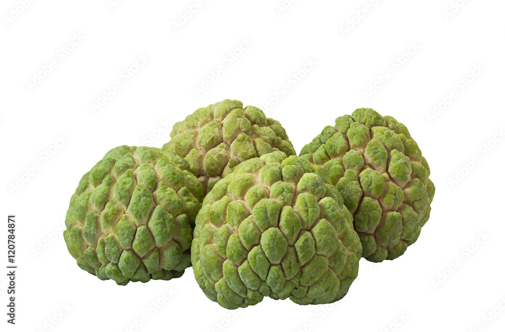'Custard Apple' (Annona squamosa) isolated on white background and clipping path 'Custard Apple' (Annona squamosa) isolated on white background and clipping path