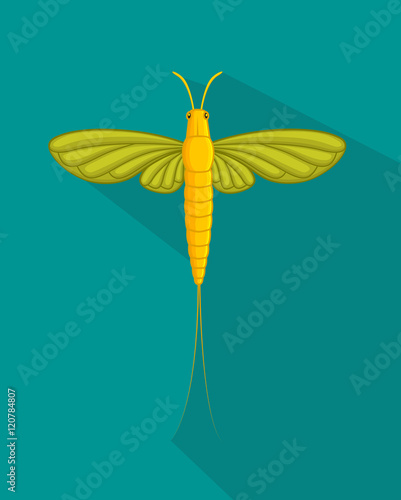 Dragonfly Insect Vector