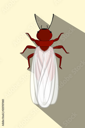 Vászonkép Winged Termite