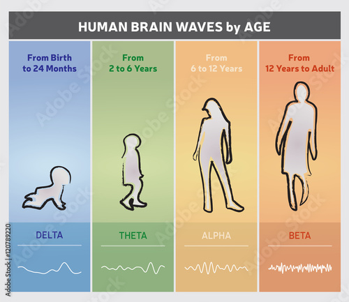 Ondes Cérébrales Humaines - Diagramme en Fonction de l'Age / Infographie Multicolore en Anglais