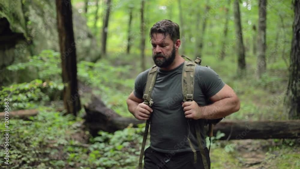 A male hiker walks past camera in slow motion, with forest de-focused in the background. A male hiker walks past camera in slow motion, with forest de-focused in the background.