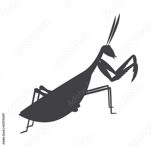 Mantid Insect Silhouette