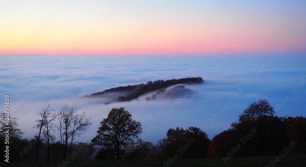 Schwarzwald - Nebel