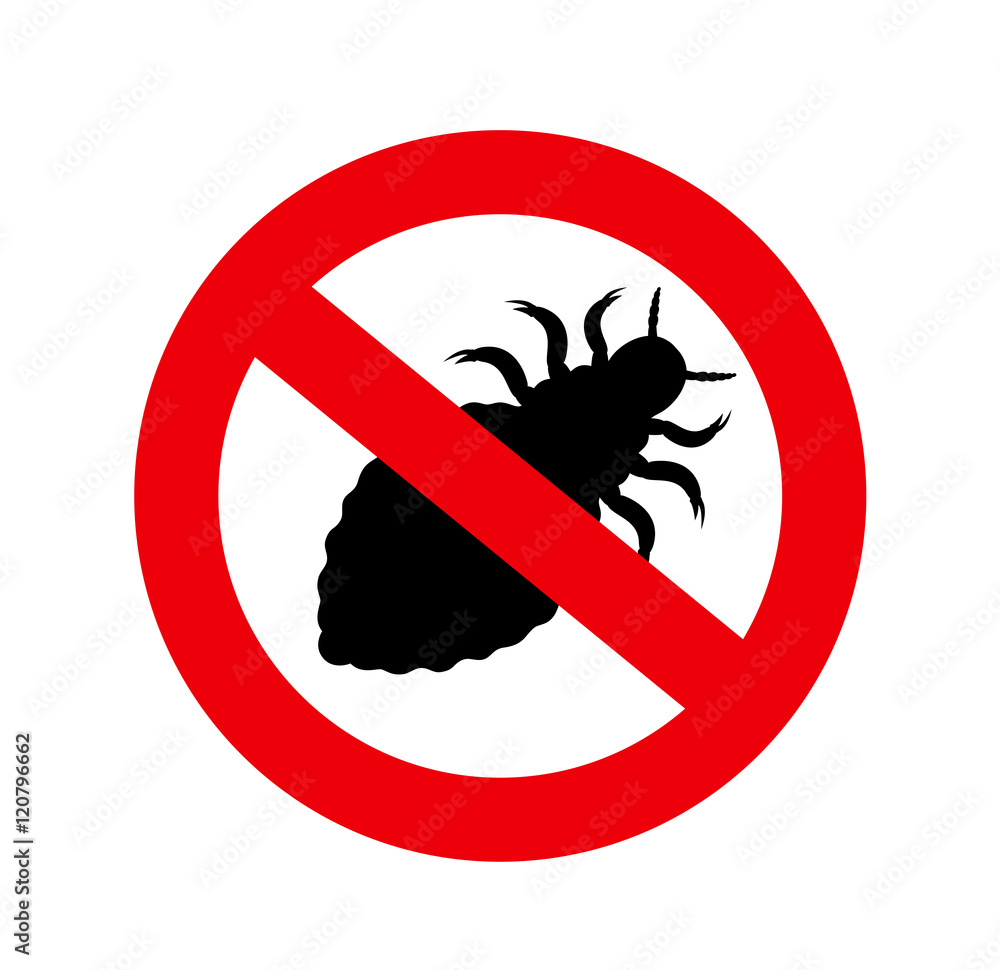 Forbidden Lice Insect