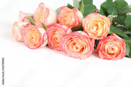 Peach and coral roses isolated on white background