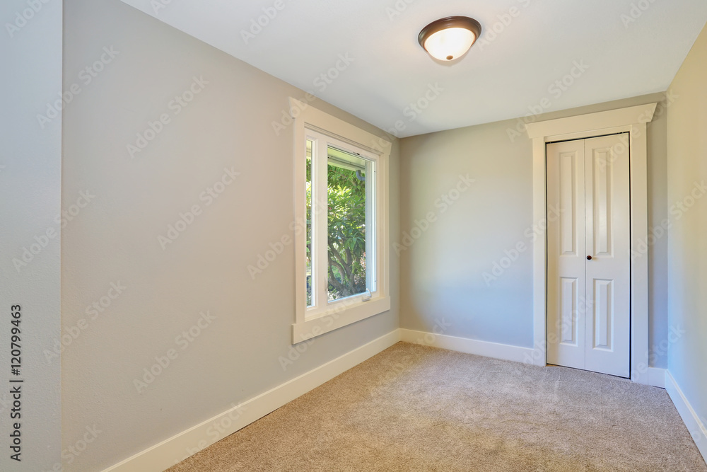 Empty room interior with carpet floor and wardrobe. Empty room interior with carpet floor and wardrobe.