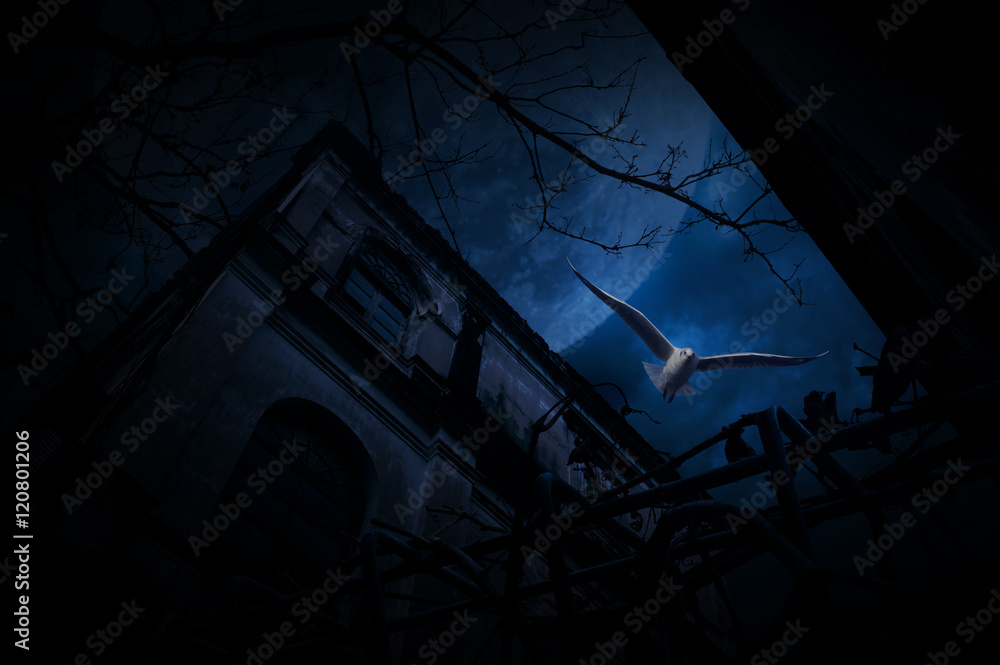 Seagull bird fly over old fence, grunge castle, dead tree, moon