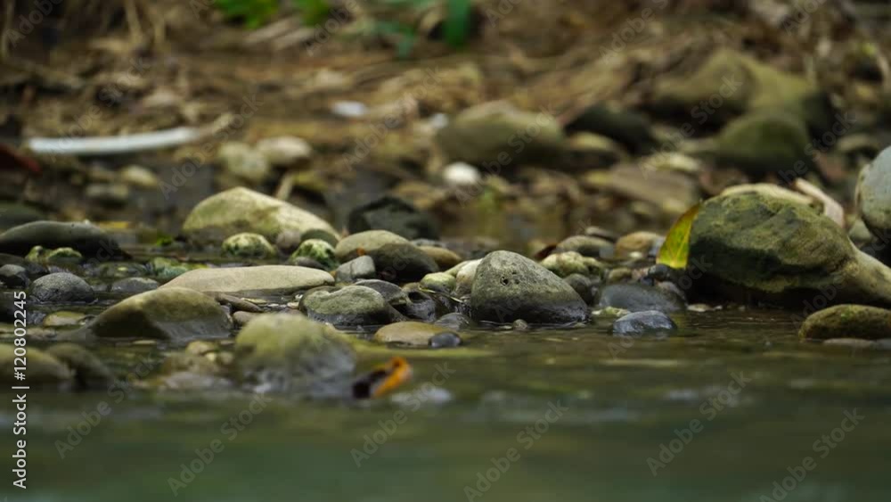 stones and mountain river with small waterfall.Stones in the flowing river.River Mountain threshold stones and mountain river with small waterfall.Stones in the flowing river.River Mountain threshold