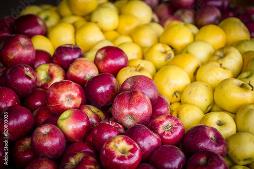 Harvest Apples