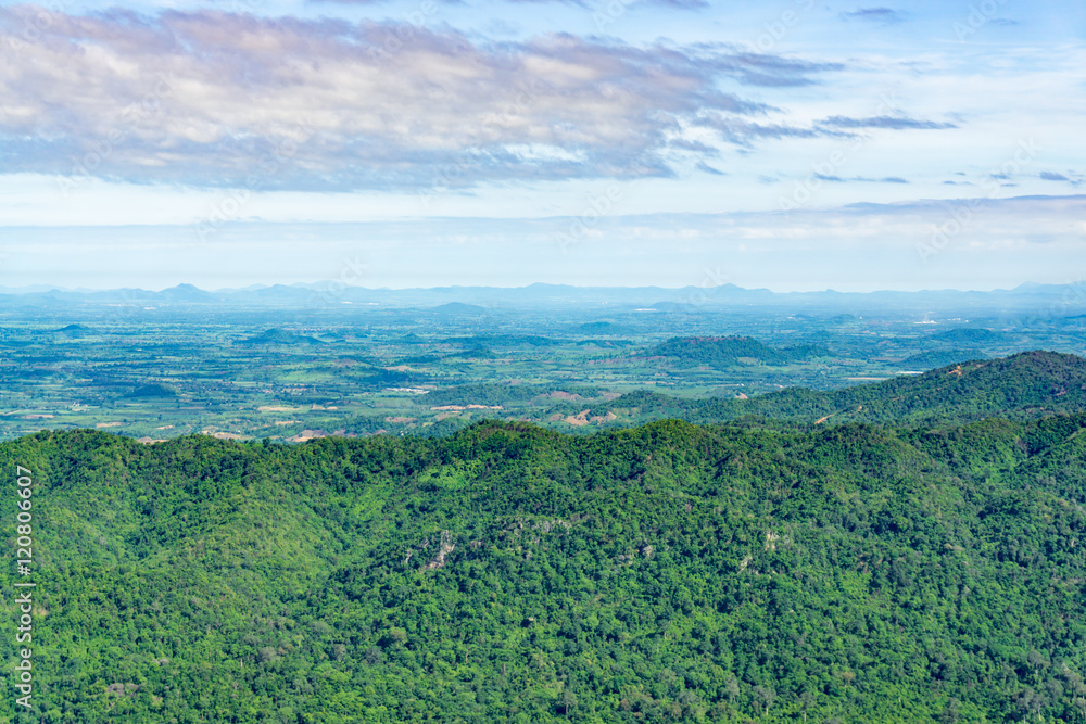 Naklejka premium Green forest on the mountains
